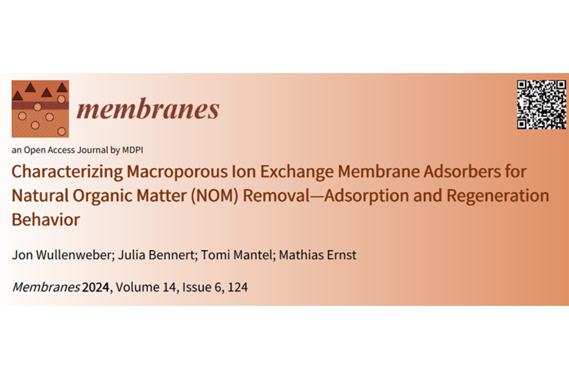 Use of Macroporous Membrane Adsorbers for the Removal of NOM