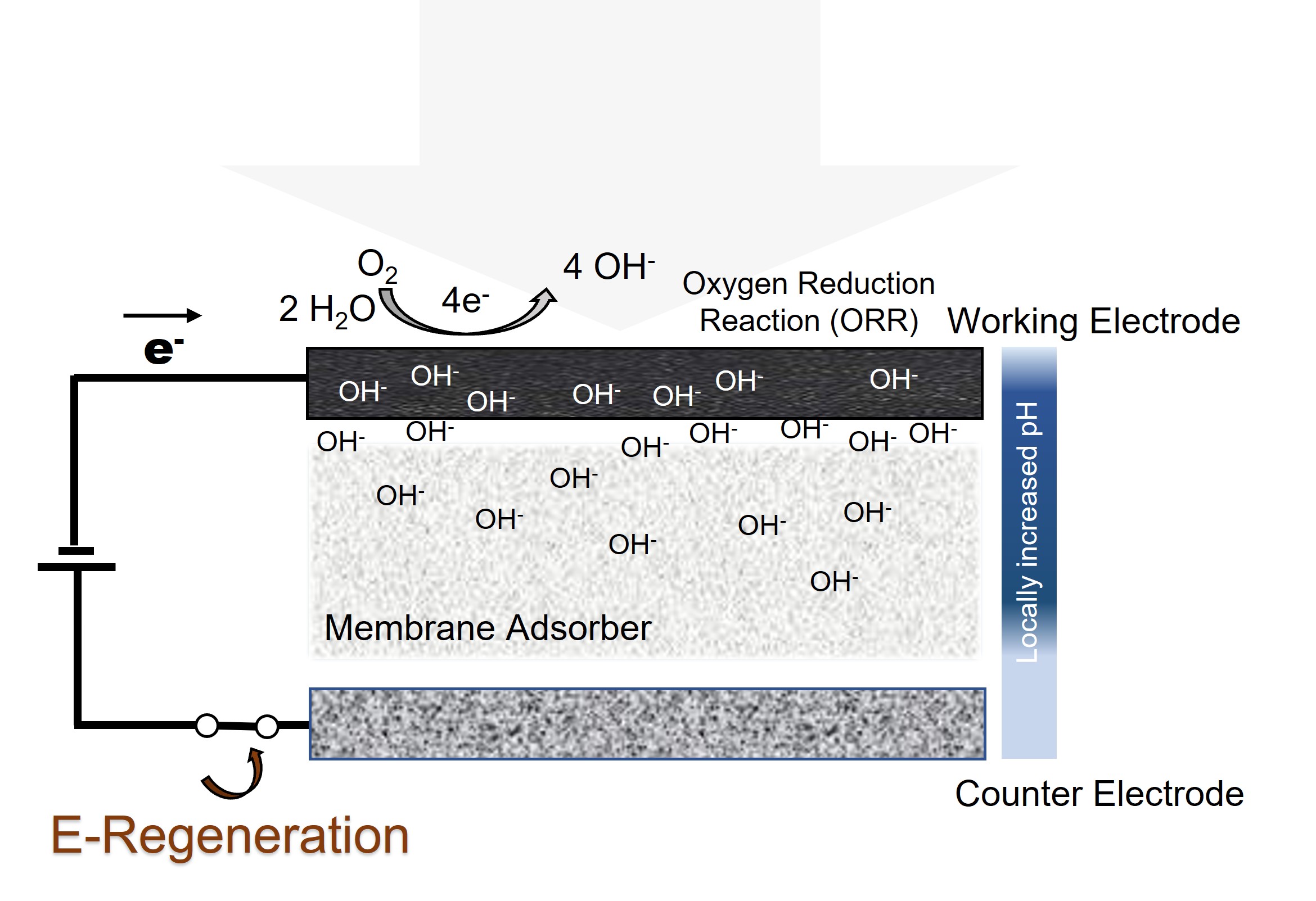 Adsorptive membrane process to selectively remove NOM coupled with a sustainable electrochemical regeneration method