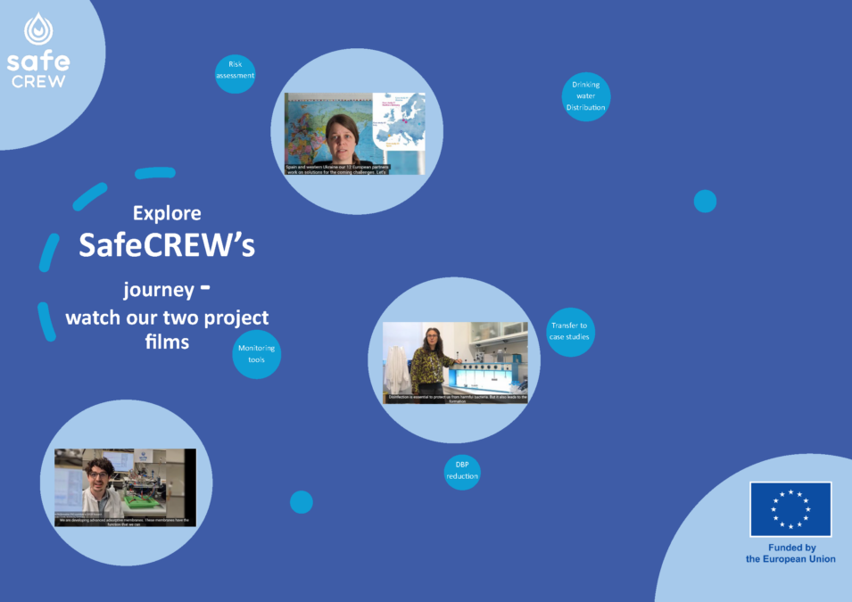 Explore SafeCREW’s journey: watch our two project films