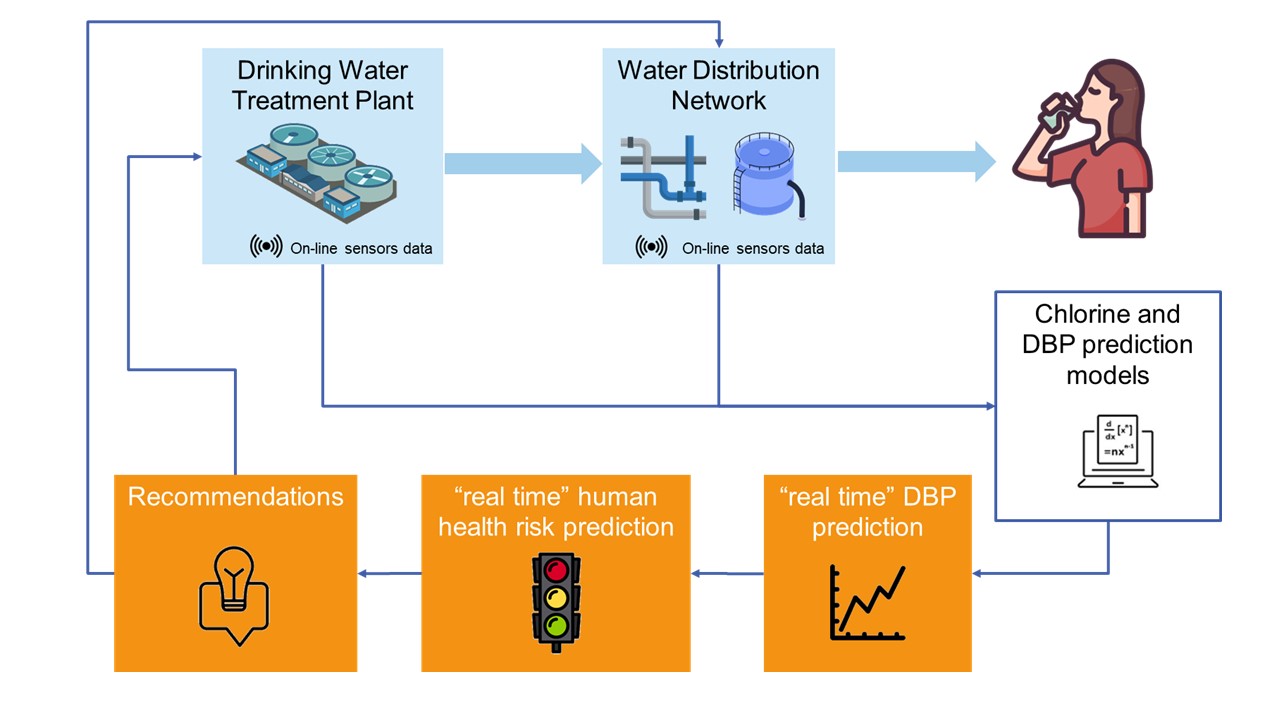 Disinfection by-products prediction models and DBP Risk Explorer
